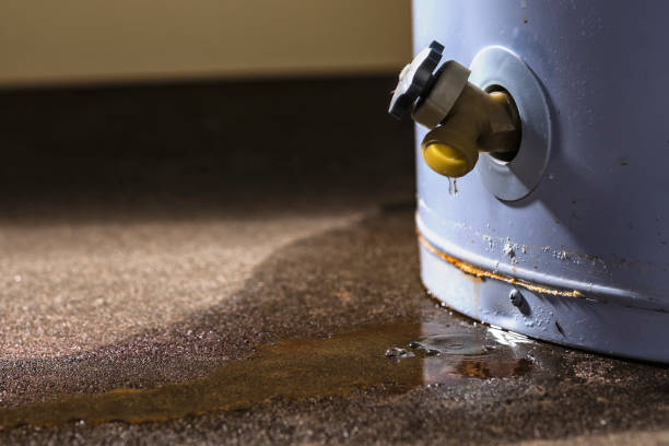 Best Ceiling water damage repair  in Benson, UT