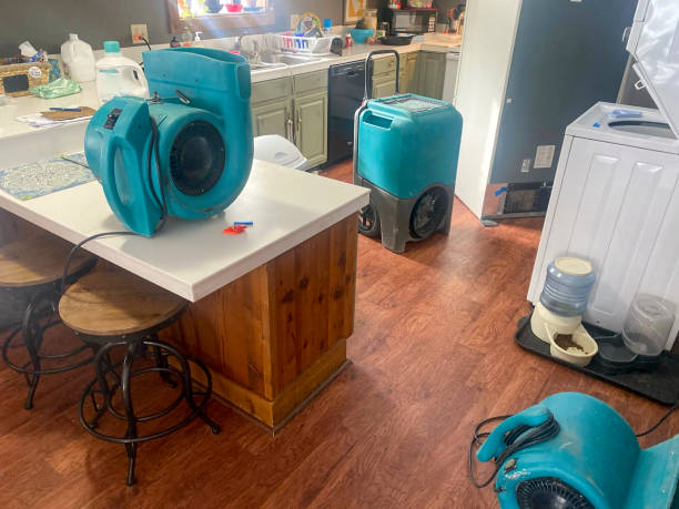Best Water damage restoration services  in Benson, UT