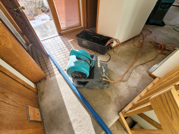 Reliable Benson, UT Water damage restoration Solutions