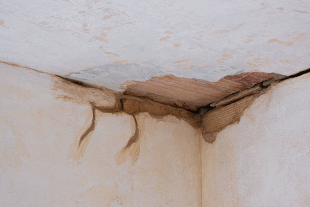 Best Sewage cleanup and water damage restoration  in Benson, UT