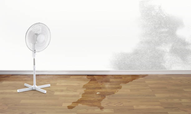 Best Carpet water damage restoration  in Benson, UT