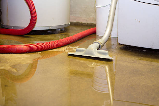 Best Water damage restoration near me  in Benson, UT
