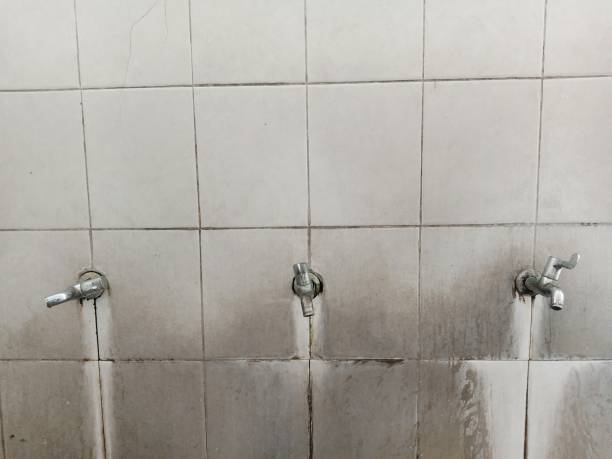 Best Local water damage restoration  in Benson, UT