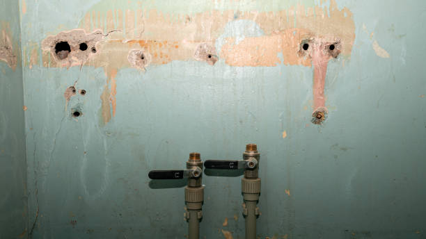 Best 24/7 water damage repair  in Benson, UT