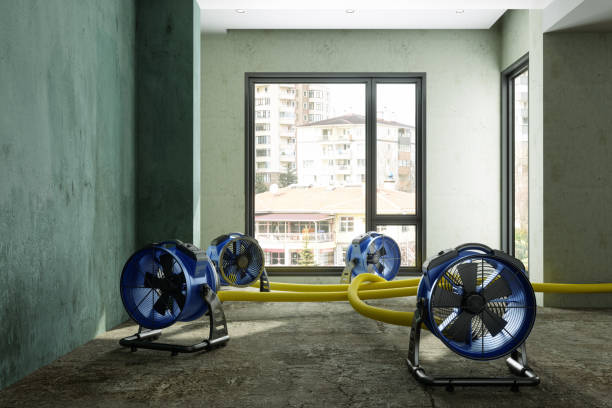 Best Mold removal after water damage  in Benson, UT