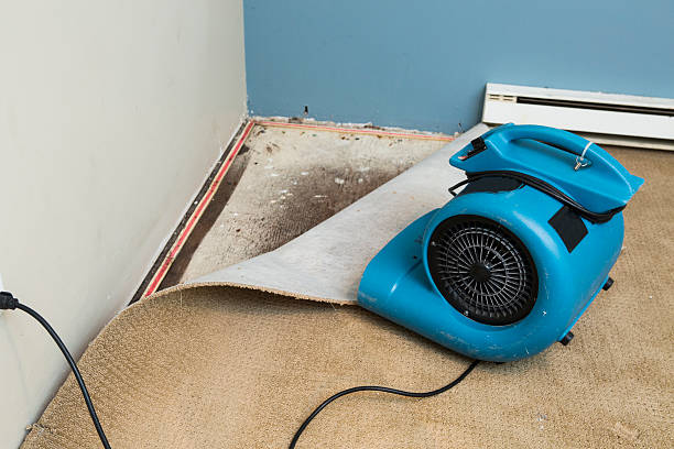Best Water damage restoration experts  in Benson, UT